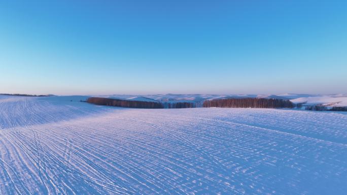 航拍严冬中的白雪皑皑的田野