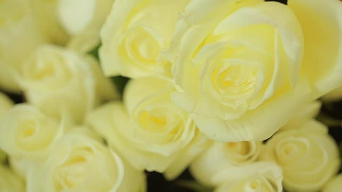 鲜艳多彩的白玫瑰花束，特写