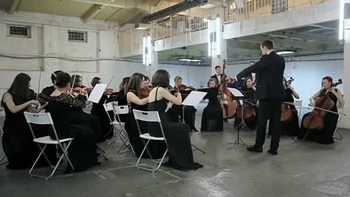 管弦乐队。在交响大厅演奏小提琴的音乐家