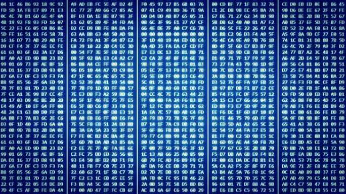 蓝屏上的十六进制代码