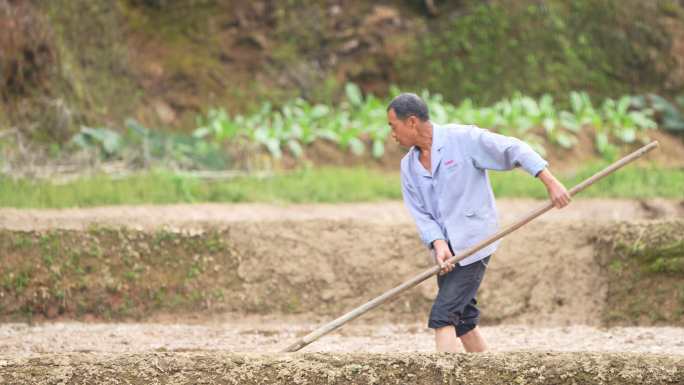 农民劳作