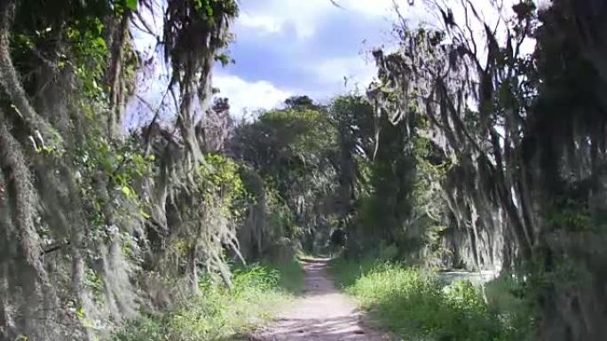 自然保护区的徒步旅行路径