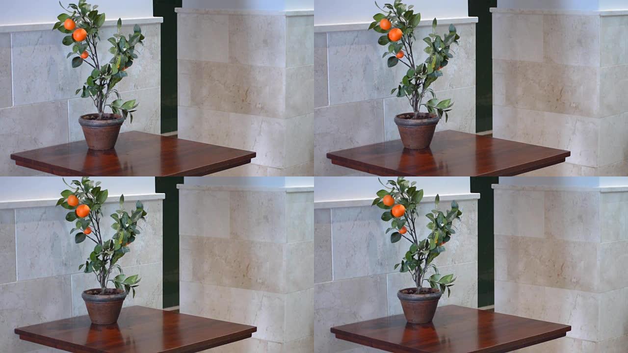 桌上的盆栽橘子植物