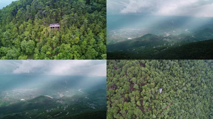 树林山水：4K超高清画质还原真实自然景观
