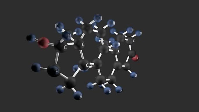 睾酮分子结构。