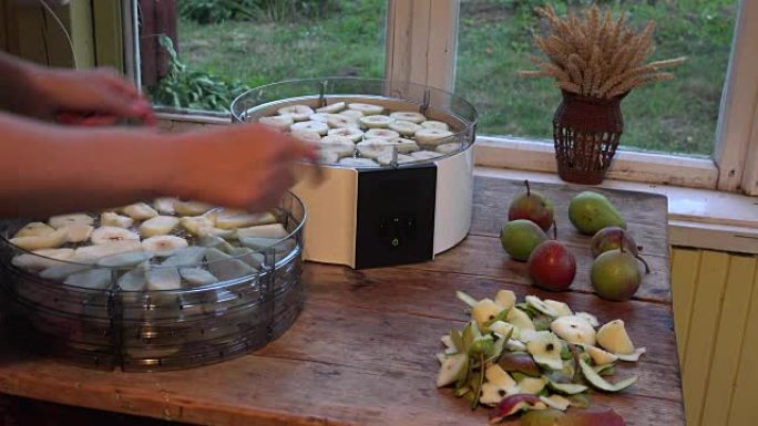 手把装满梨片的盘子放在水果烘干机上。特写。全高清