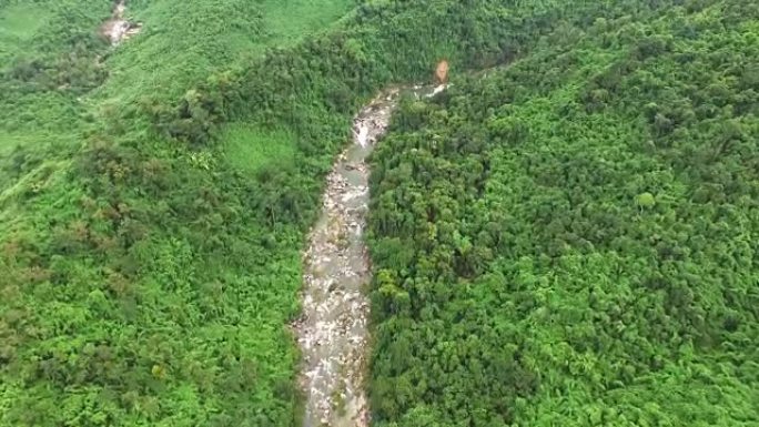 越南南部的空中勘测丛林