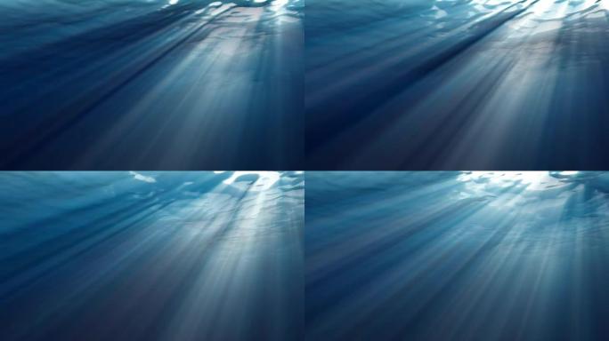 来自现实水下的高质量海浪循环动画。光线闪耀