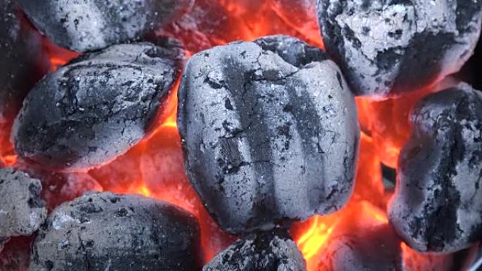 烧烤派对，将木炭倒入火中