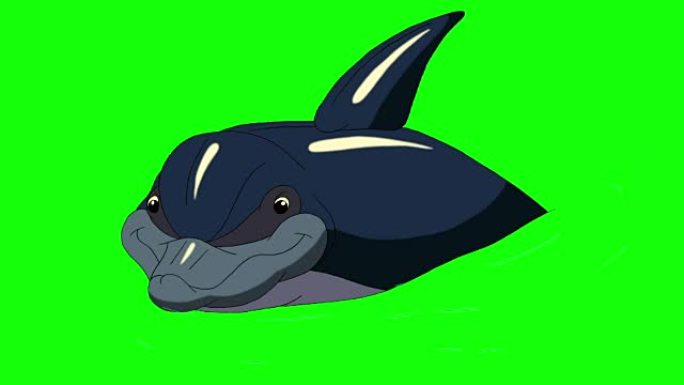 水中的深蓝色海豚。