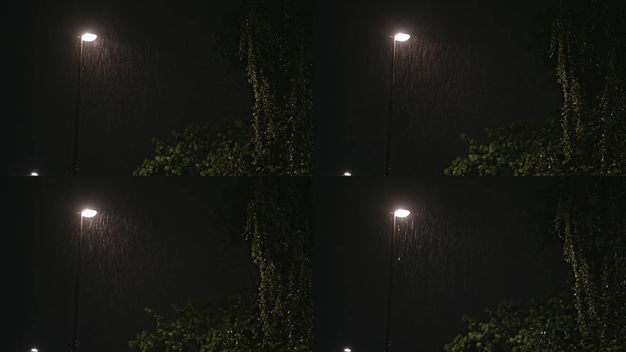 雨夜。孤独的灯柱和潮湿的树