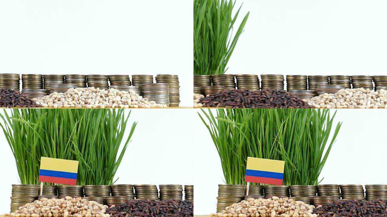 哥伦比亚国旗挥舞着一堆硬币和一堆小麦
