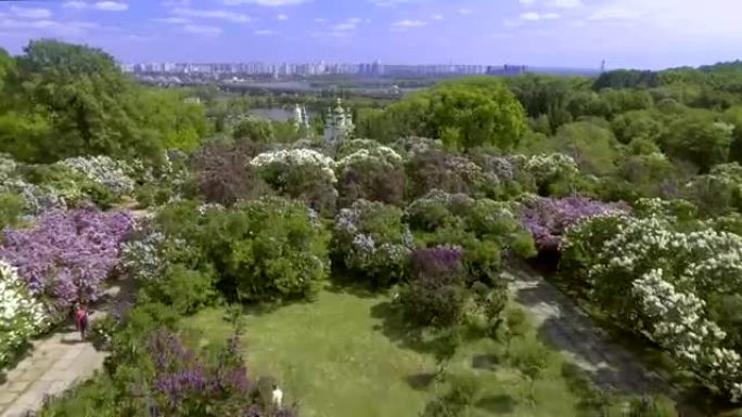 鸟瞰图。赫里什科国家植物园。乌克兰基辅。