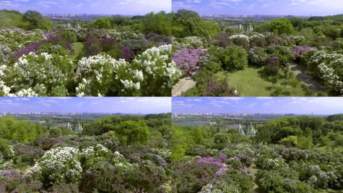 鸟瞰图。赫里什科国家植物园。乌克兰基辅。