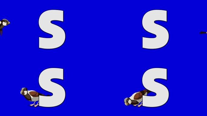 字母S和麻雀 (背景)