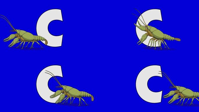 字母C和小龙虾 (前景)