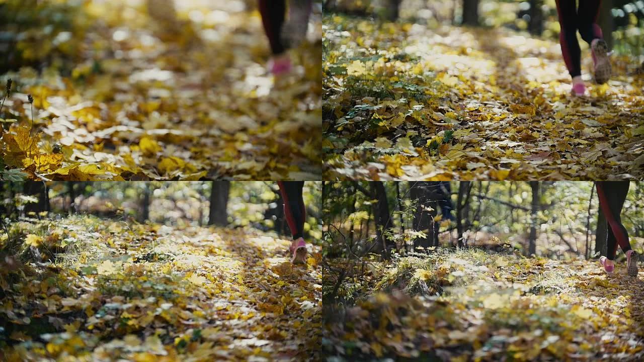 黄色秋公园的女性腿脚跑步。运动生活方式概念，慢动作