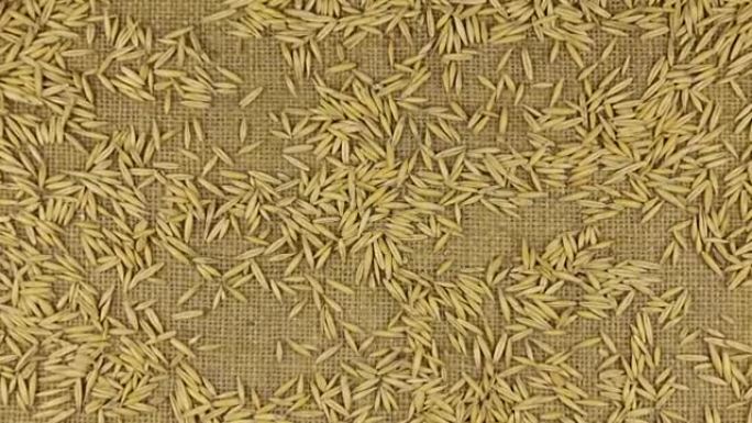 粗麻布上散布的燕麦颗粒的近似