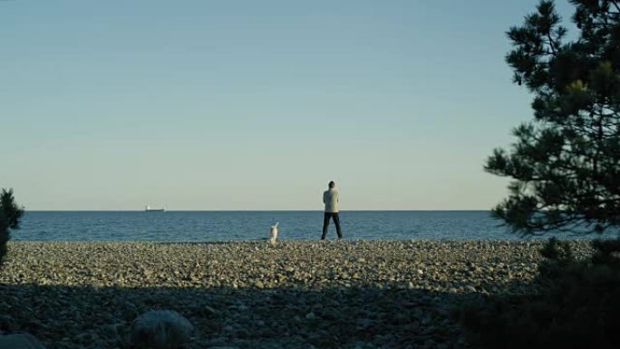 男子与狗站在圆石滩