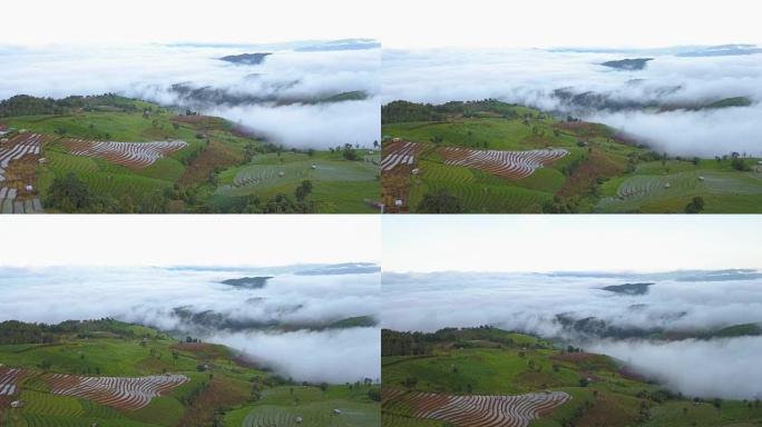 在泰国清迈的Pa Pong Pieng，在云层和雾海中移动的无人机拍摄的稻田农业的鸟瞰图。