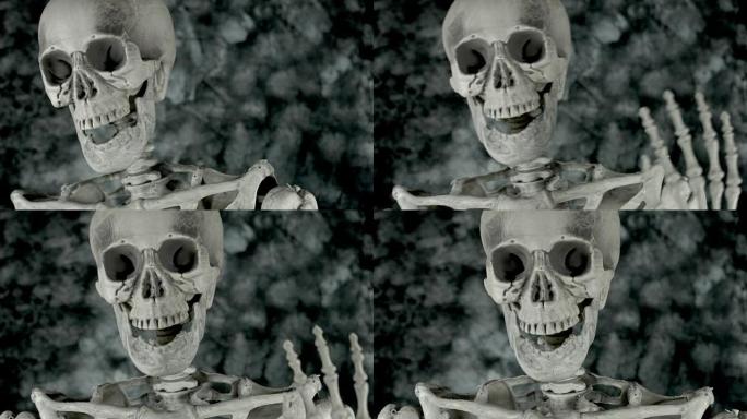 解剖实验室中骨骼的4k科学镜头挥舞着相机