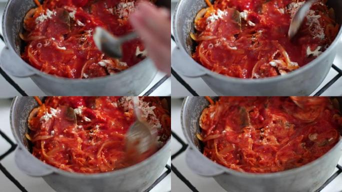 炖胡萝卜，洋葱，番茄酱在平底锅中蒸。素食