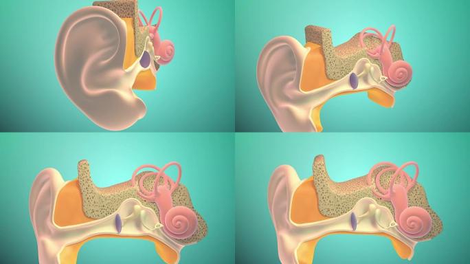 3D.内耳或内耳4K.超高清。