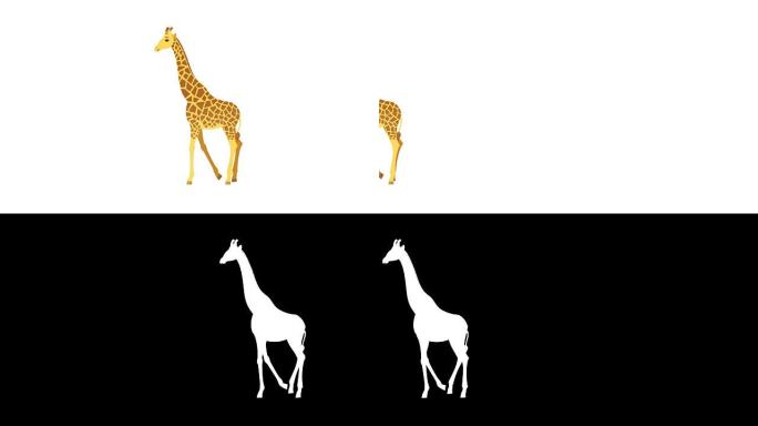 长颈鹿周期