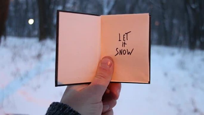 让它下雪!圣诞书法。手写的。手拿一本刻有碑文的书，在森林的背景下