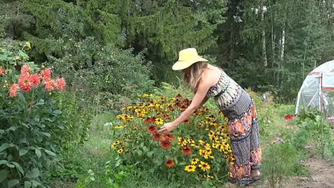 穿着连衣裙的年轻园丁女人在阳光明媚的花园里摘红花。