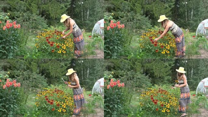 穿着连衣裙的年轻园丁女人在阳光明媚的花园里摘红花。