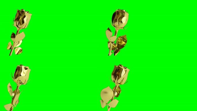 金色玫瑰-无缝视频循环