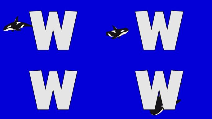 字母W和鲸鱼 (背景)