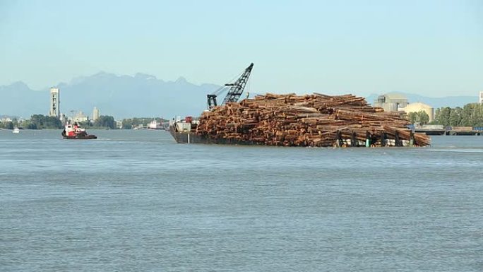 弗雷泽河装载原木驳船。