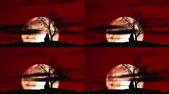 红色天空大月亮树4k