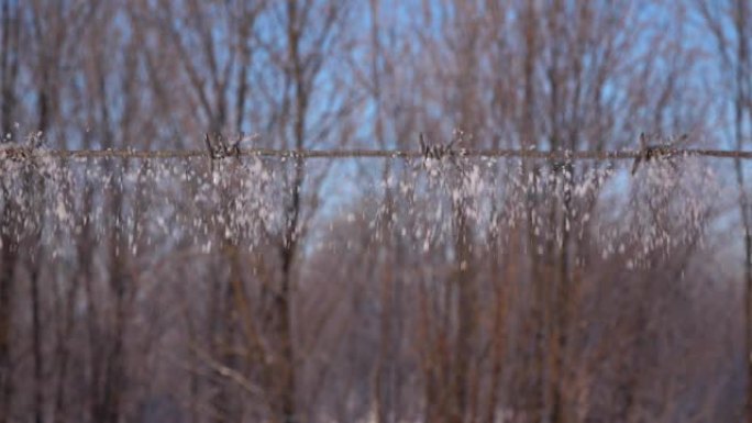 雪花从铁丝网上飘落，慢镜头，自然背景