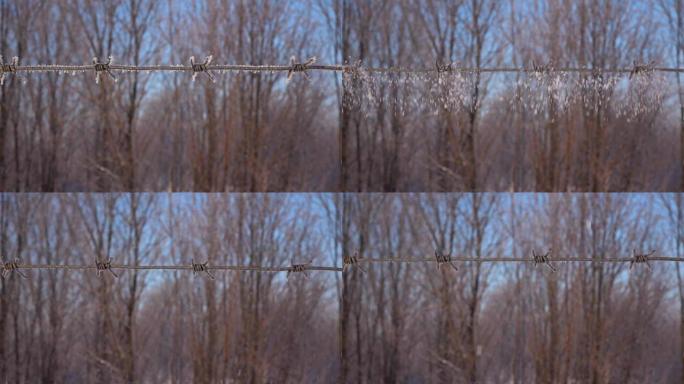 雪花从铁丝网上飘落，慢镜头，自然背景
