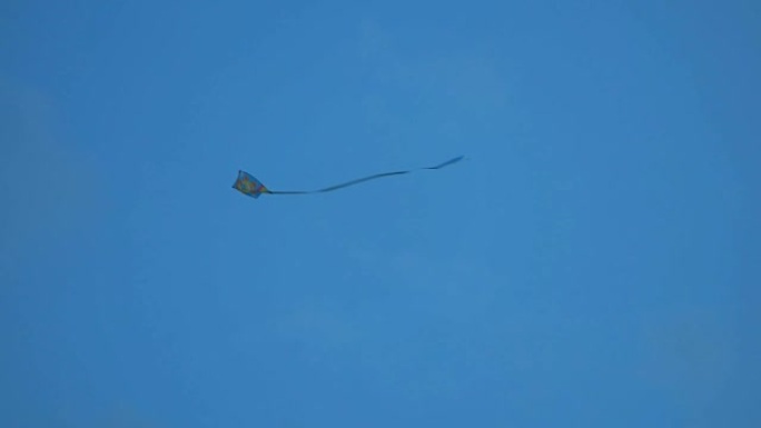 风筝在蓝天下飞翔