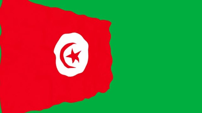 突尼斯国旗。