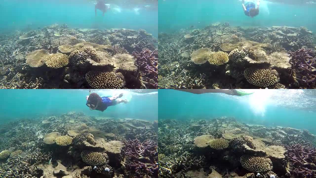 妇女在斐济的一个热带度假胜地浮潜