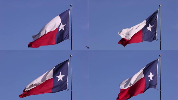 德克萨斯州的旗帜