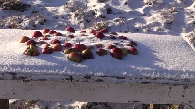 白雪下桌子上的红苹果