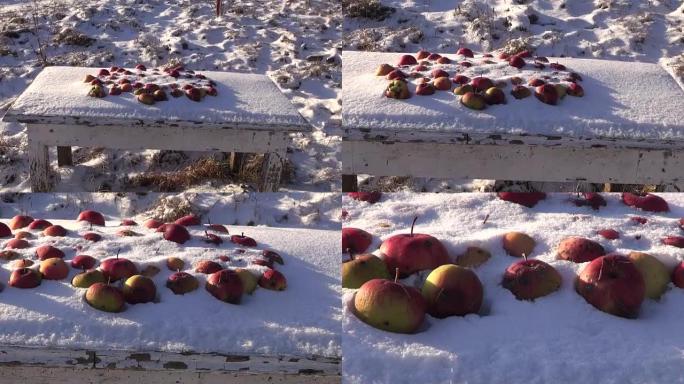 白雪下桌子上的红苹果