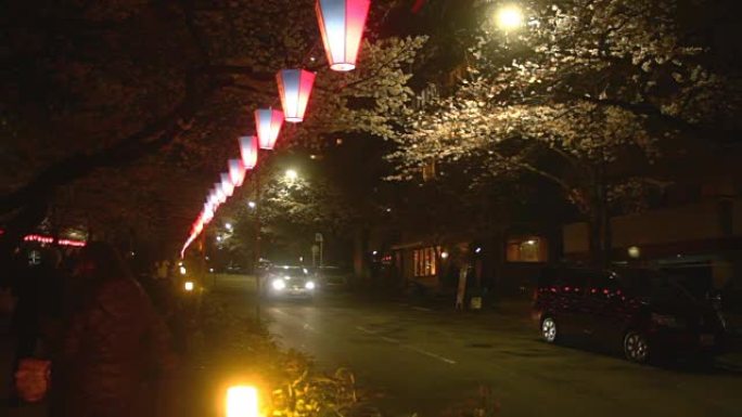 街头樱花夜版在Harimazaka深度聚焦
