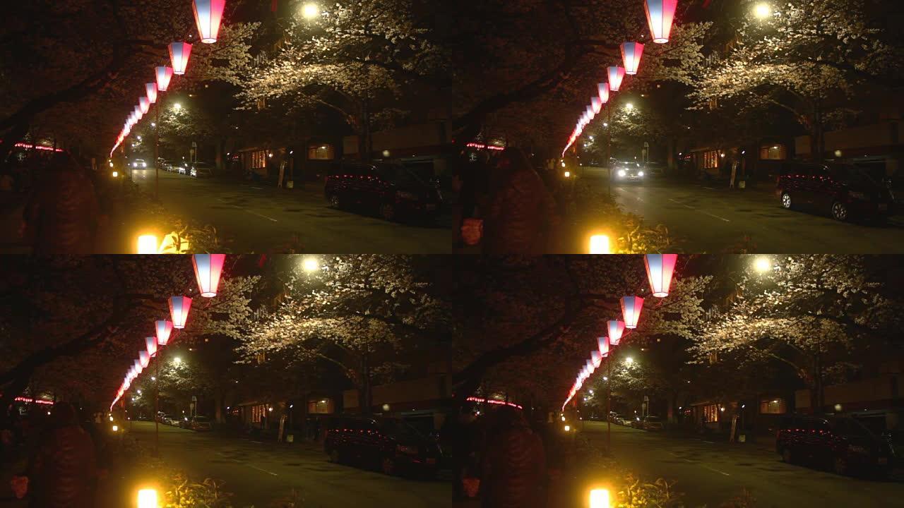 街头樱花夜版在Harimazaka深度聚焦