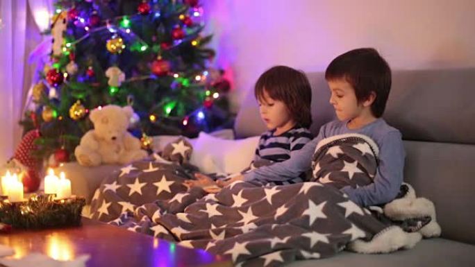 两个可爱的孩子，男孩兄弟，在第一个降临节周日在毯子下玩电话，在他们身后的圣诞树