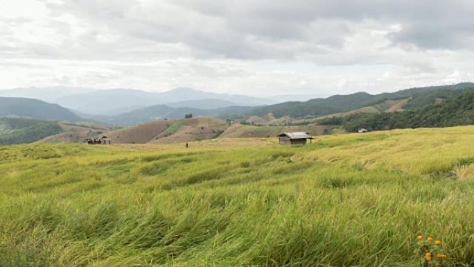 人们在云中梯田旅行的时间流逝