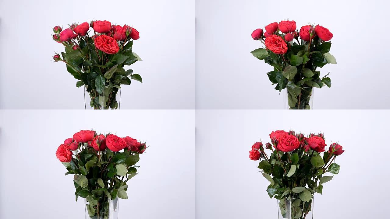 花朵，花束，白色背景上的旋转，花卉成分由玫瑰圆锥形波尔多组成