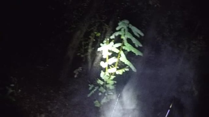 当你晚上穿过一个幽灵般的可怕雨林时，你会被拍摄到POV。