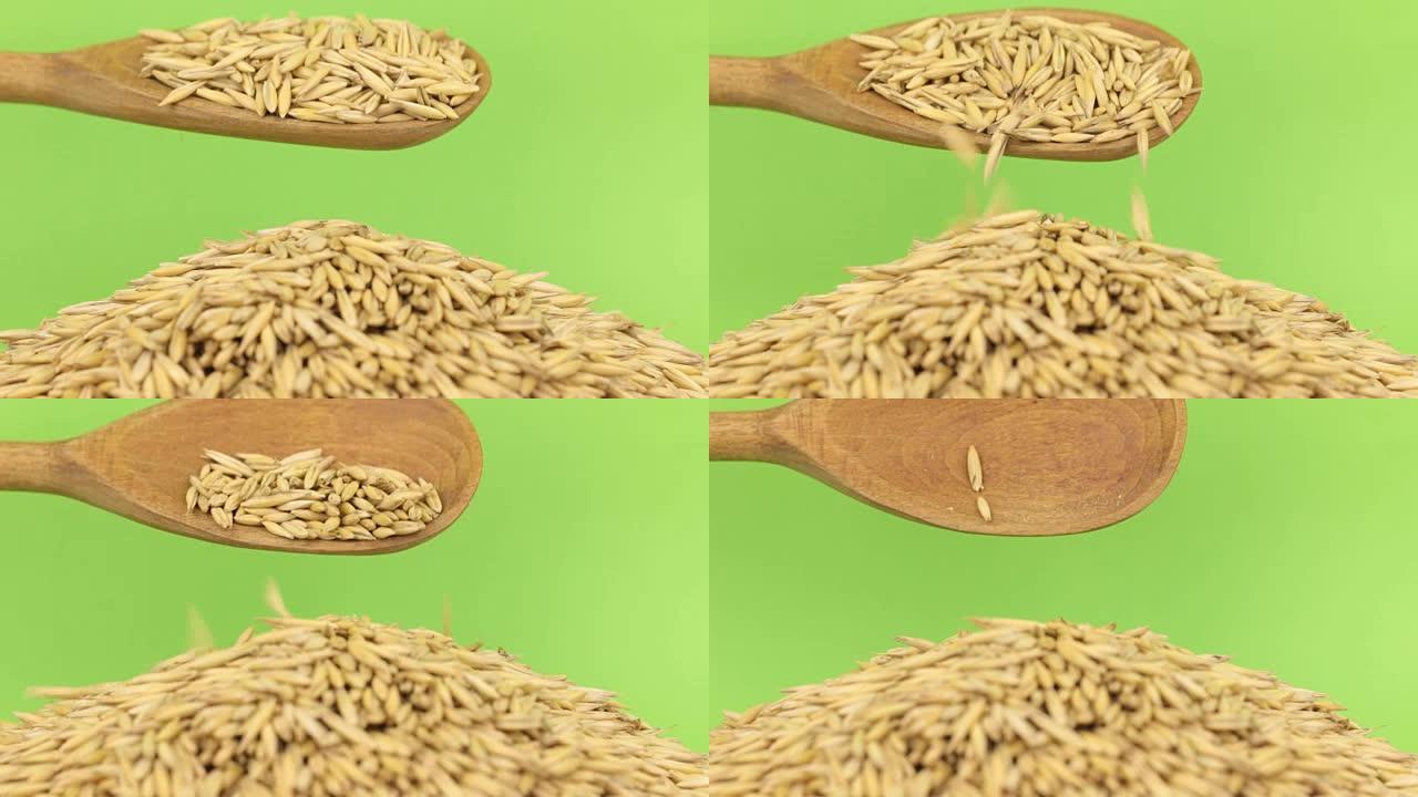 木勺将燕麦倒入绿色屏幕上的燕麦堆中